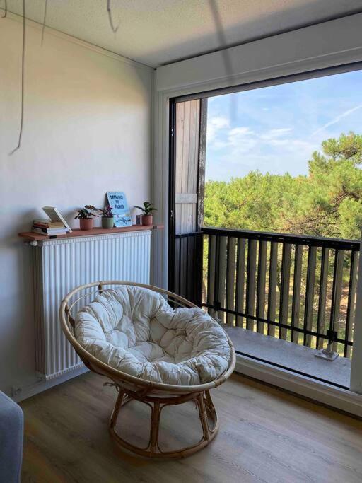 Grand T2 A 150M De La Plage Apartman Seignosse Kültér fotó